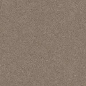 Coastal Charm II Color Espresso Brown 56 oz. Nylon Texture Installed Carpet