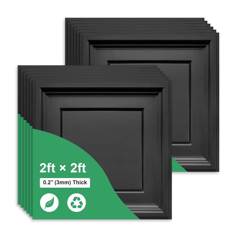 Black 2 x 2 ft. Decorative Textured Waterproof and Fire-Rated Ceiling Tile 48 sq. ft. / case(12 Piece Tiles) price history on PriceWatchPro