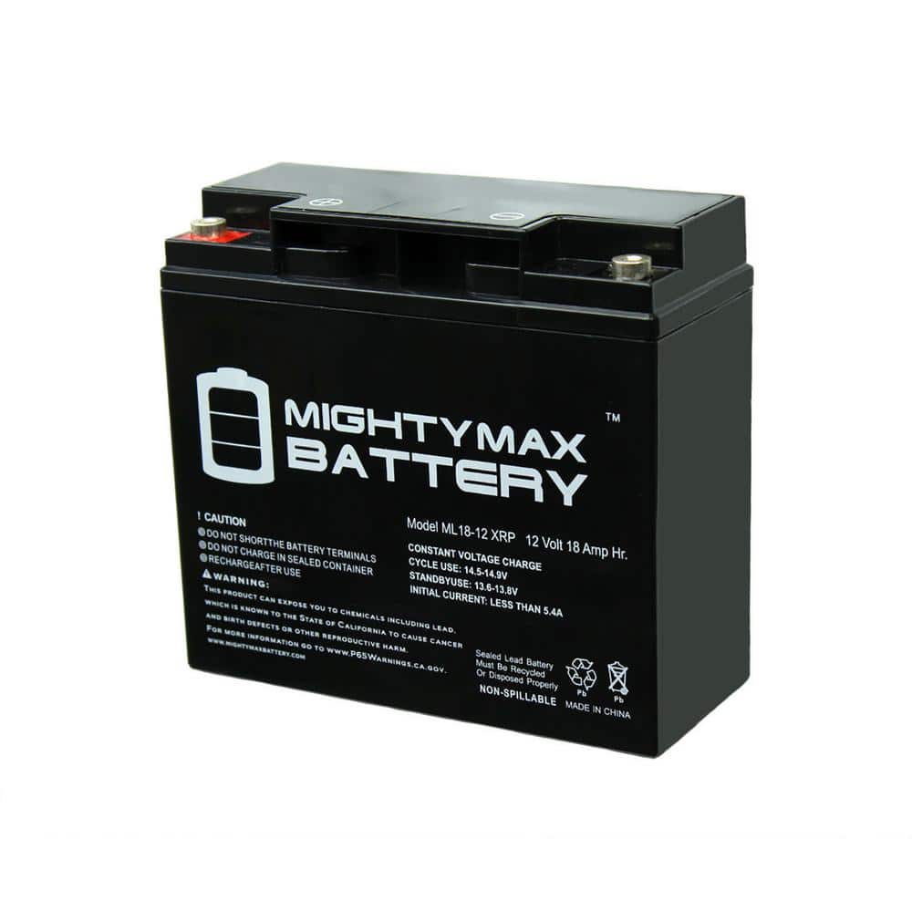 MIGHTY MAX BATTERY 12V 18AH SLA Replacement Battery for Briggs Stratton  193463GS MAX3511041 - The Home Depot