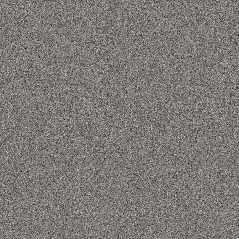 8 in. x 8 in. Texture Carpet Sample - Sunshine Cottage - Color Stone Tablet price history on PriceWatchPro