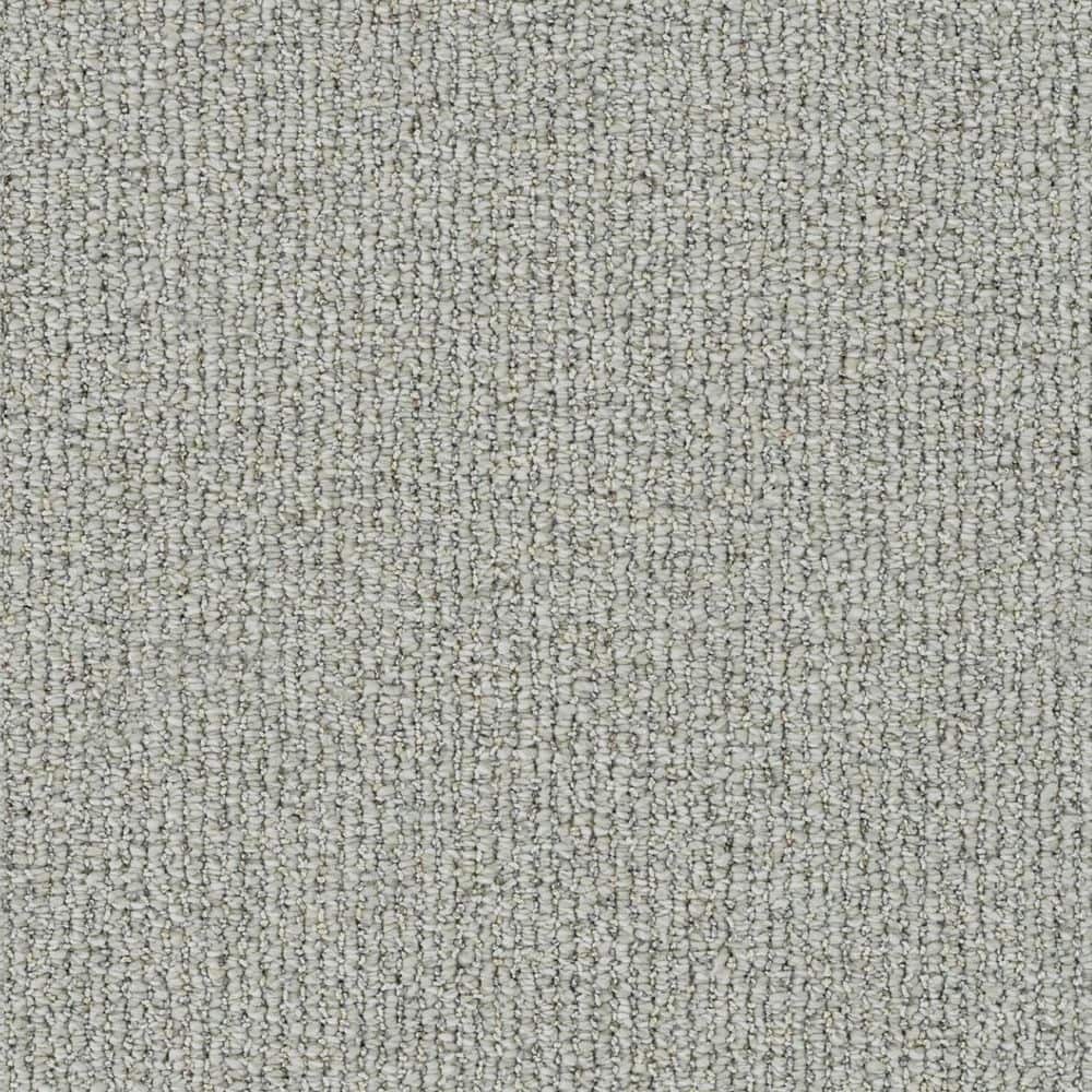 8 in. x 8 in. Loop Carpet Sample - Symphony Walk - Color Echo price history on PriceWatchPro