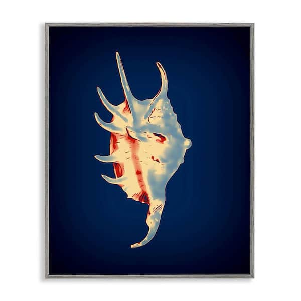 Stupell Industries Spider Conch on Blue by Graffi*tee Studios Gray Framed Coastal Giclee Art Print 30 in. x 24 in.