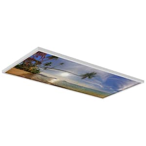 2 x 4 Fluorescent Light Filters Beach 006