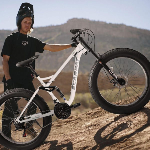 Tenleaf 26 in. x 4 in. Fat Tire Steel Frame Bike Full-Suspension