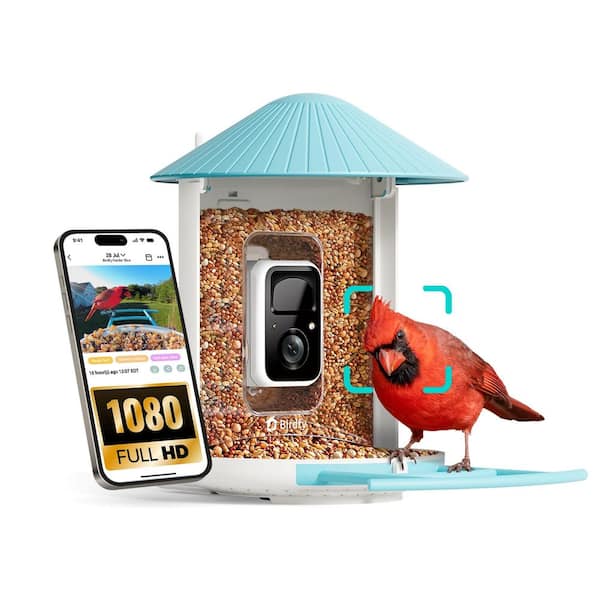 Birdfy Smart Bird Feeder Blue Plastic Camera Lite and AI