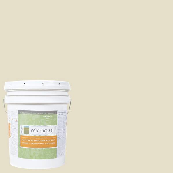 Colorhouse 5 gal. Air .03 Flat Interior Paint