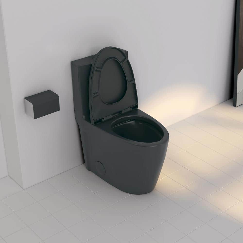 Reno Matte Black Elongated Dual Flush One-Piece Toilet