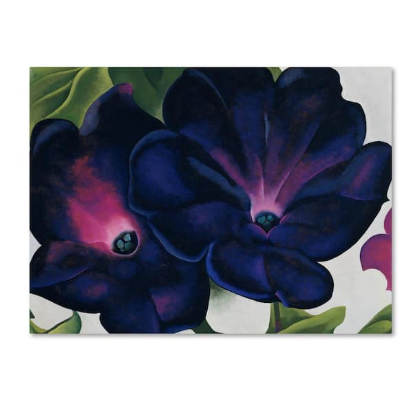 Trademark Fine Art Black and Purple Petunias by Georgia O'Keefe Floater Frame Nature Wall Art 24 in. x 32 in.