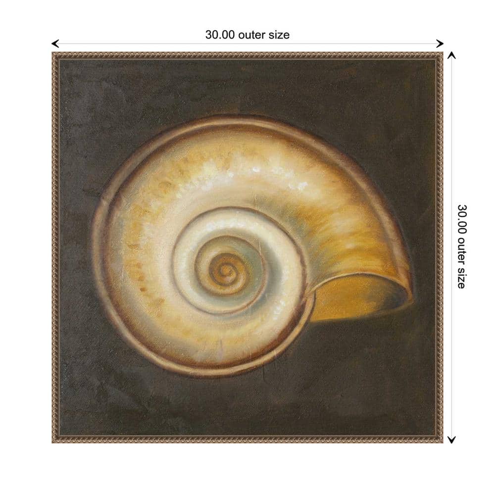 30"x30" Seashell I by Patricia Pinto Framed Canvas Wall Art Print Bronze - Amanti Art: Hand-Stretched, Madison WI, Nautical Decor
