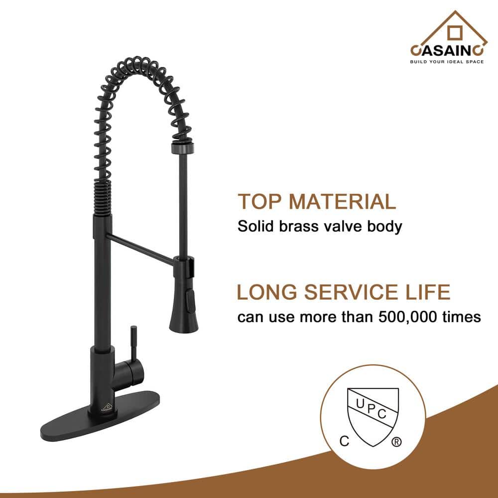 Matte Black Pull-Down Kitchen Faucet with Dual-Function Spray Head