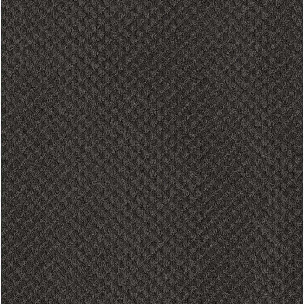 8 in. x 8 in. Pattern Carpet Sample - Genevieve -Color Black Velvet price history on PriceWatchPro