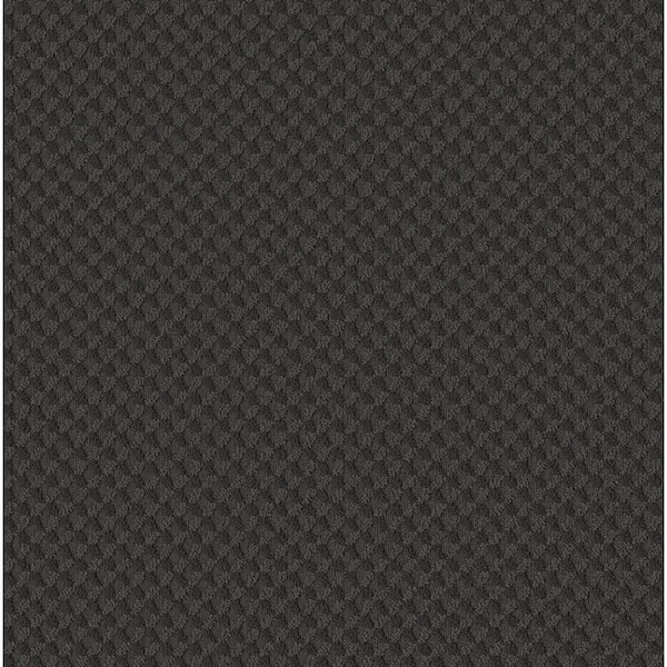 Lifeproof 8 in. x 8 in. Pattern Carpet Sample - Genevieve -Color Black Velvet