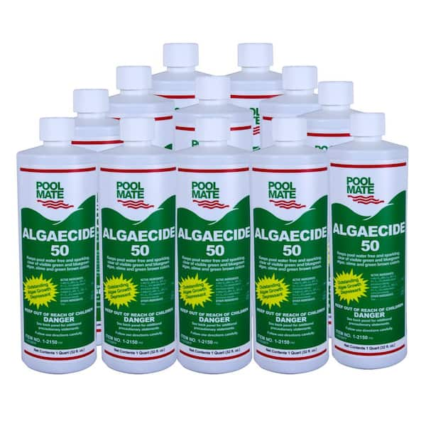 Robelle Concentrated Algaestroy 50 Swimming Pool Algaecide, 1