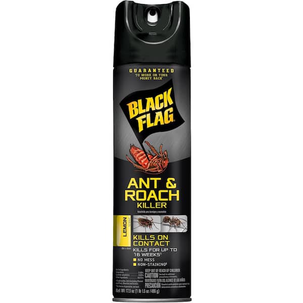 Black Flag Ant and Roach Killer 17.5 oz. Aerosol Lemon Scent Spray