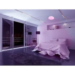 14 in. Voice Controlled Colors White Smart Selectable CCT LED Ceiling Light Flush Mount