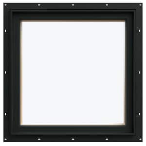 24 in. x 24 in. W-5500 Picture Wood Clad Window