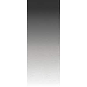 Charcoal Grey Aura Ombre Abstract Peel and Stick Wall Mural
