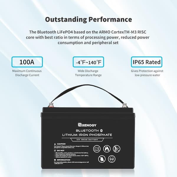LiTime 12V 100Ah LiFePO4 Battery, Smart BMS with Low Temp Cut Off for RV,  Solar, Motorhome