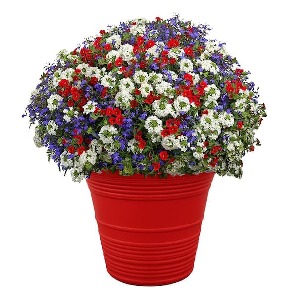 Sedona 16 in. Plastic Red Planter