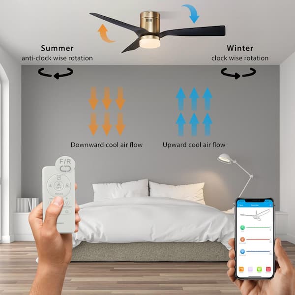 CARRO Striver 52 in. Indoor Gold Smart Ceiling Fan with Dimmable