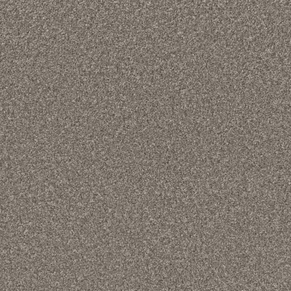 8 in. x 8 in. Texture Carpet Sample-Gentle Glimmer III-Color Peace price history on PriceWatchPro