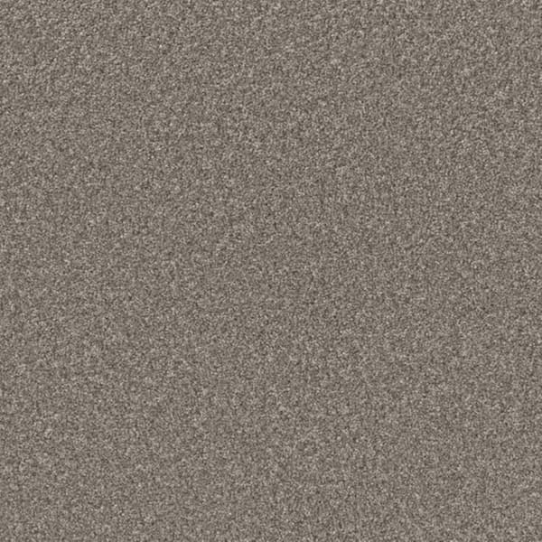 8 in. x 8 in. Texture Carpet Sample-Gentle Glimmer II-Color Peace
