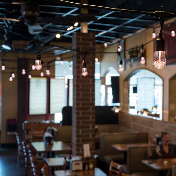 12 Bulbs 24 ft. Outdoor/Indoor Black Vintage LED String Light, Acrylic Edison Bulbs (2-Pack)