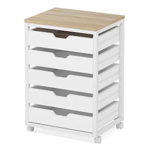 Eulas 5-Drawer White Chest of Drawers Storage Dresser Cabinet for Office Bedroom (15.7 in D. x 19.7 in W. x 29.5 in H.)