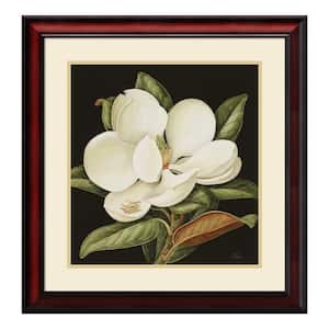 24 in. W x 25 in. H 'Magnolia Grandiflora, 2003' by Jenny Barron Printed Framed Wall Art