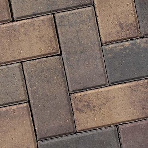 Holland 8.5 in. x 4.25 in. x 2.375 in. Rectangle Beechwood Facemix Concrete Paver Sample