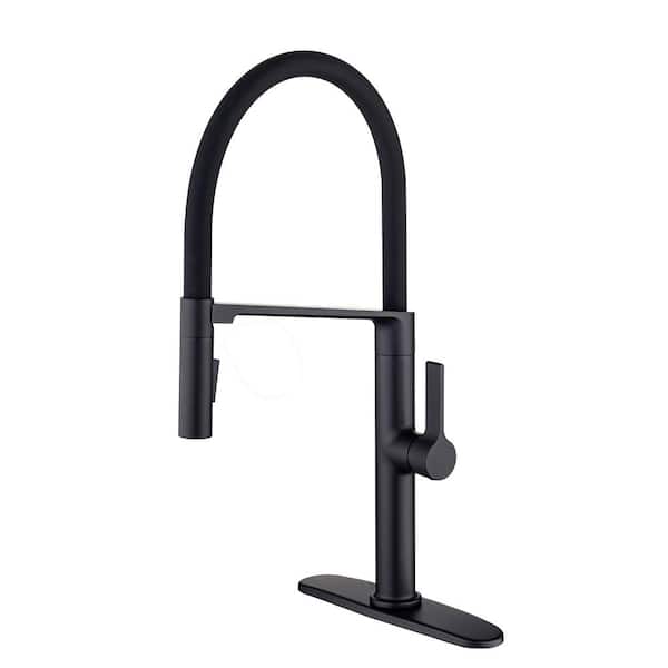 RAINLEX Magnetic Single-Handle Pull Down Sprayer Kitchen Faucet with Deckplate and Water Supply Line Included in Matte Black