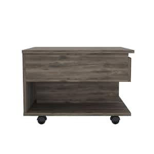 Bernadette 19.6 in. L Dark Brown 15.3 in. H Rectangle Particle Board Coffee Table with Lift Top and Storage
