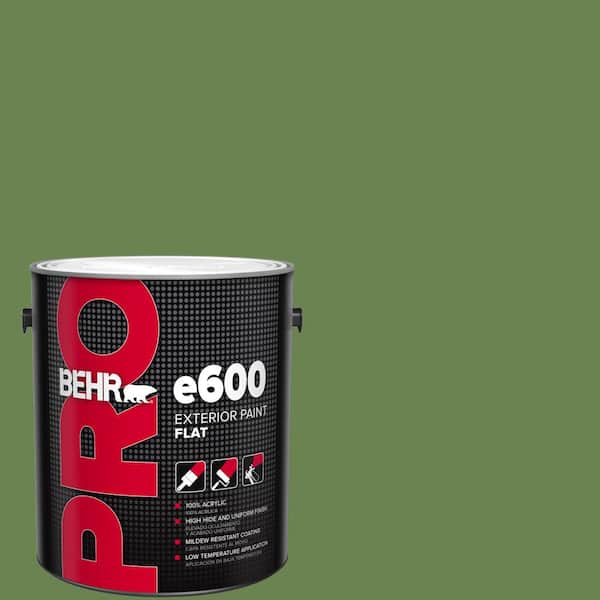 BEHR PRO 1 gal. #430D-6 Happy Camper Flat Exterior Paint