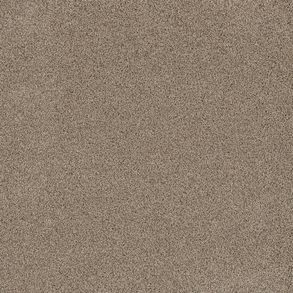 Delight I - Bliss - Beige 48 oz. SD Polyester Texture Carpet - Installation Required