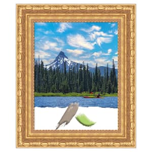 Versailles Gold Wood Picture Frame Opening Size 11 x 14 in.