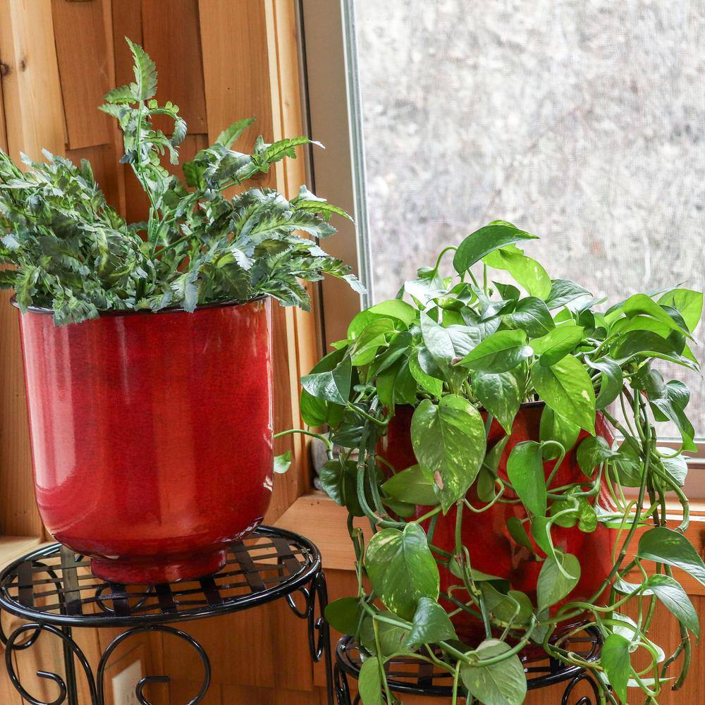Vivian Ruby Glaze Medium Iron Indoor/Outdoor Planter Set
