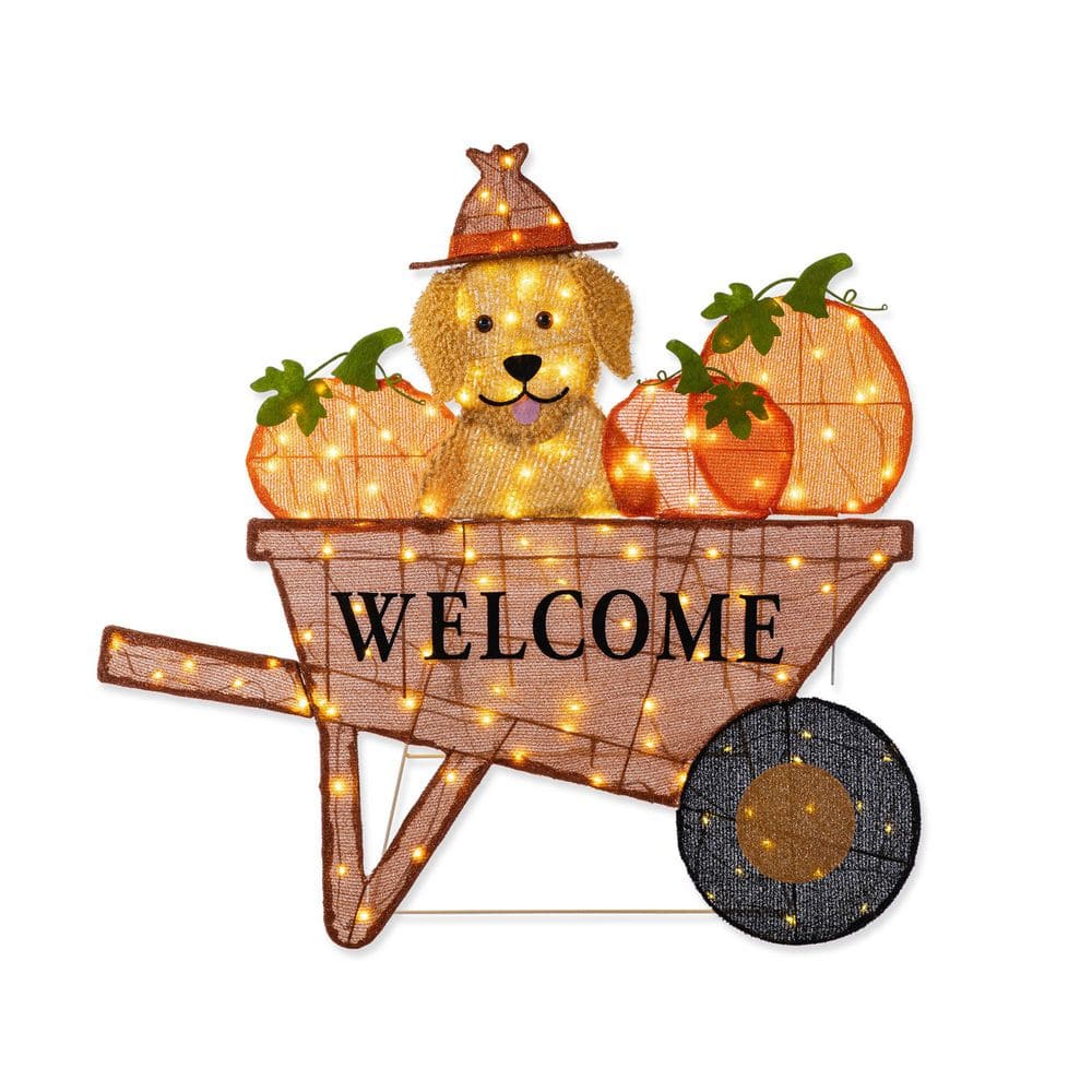 36.25 in. Lighted Fall Pumpkin Wheel Barrow with Labrador Outdoor Decor with 130 Warm White LED Lights price history on PriceWatchPro