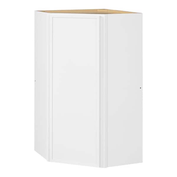 Leyton 24 in. Wx 24 in. Dx42 in. H Ready to Assemble Plywood Slim Shaker Corner Diagonal Kitchen Cabinet in Alpine White