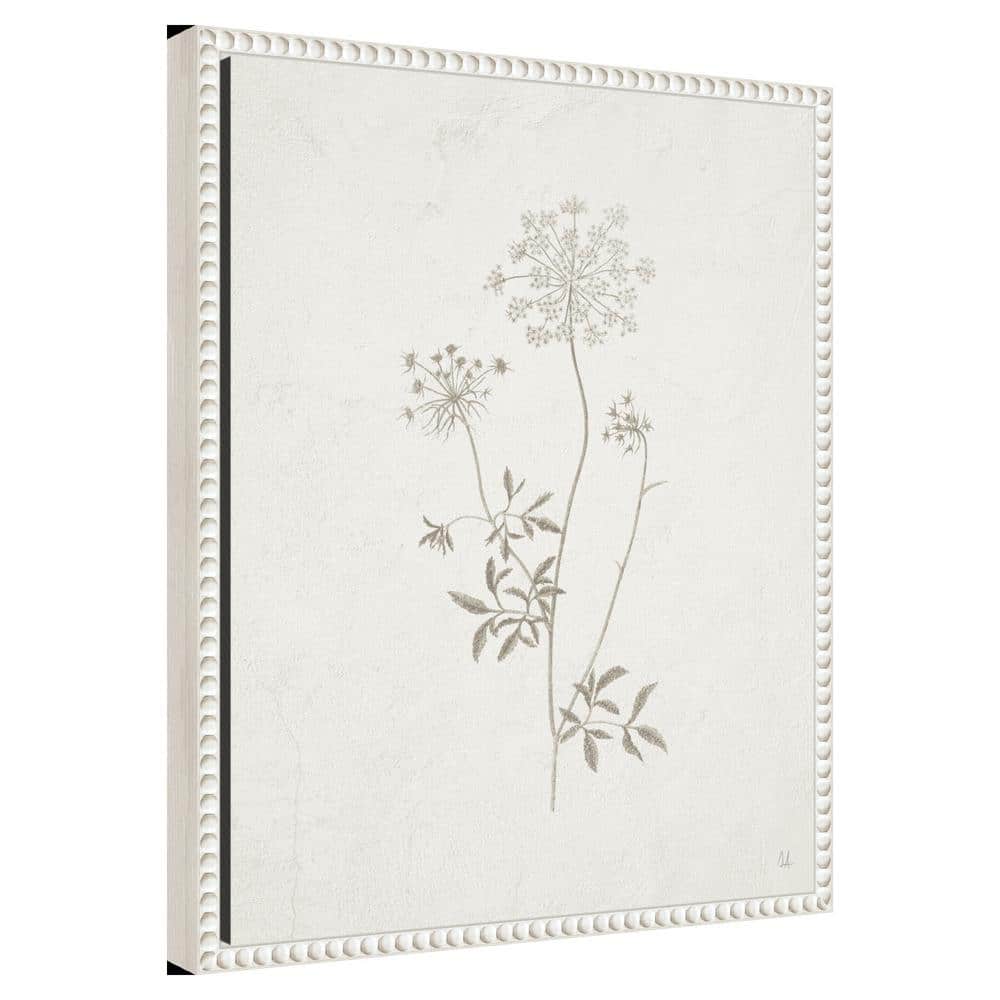 Beaded Perimeter Botanical Canvas Print in White Frame, 16 x 20-in.