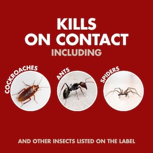 Boxelder Bugs - Pest Control - Garden Center - The Home Depot