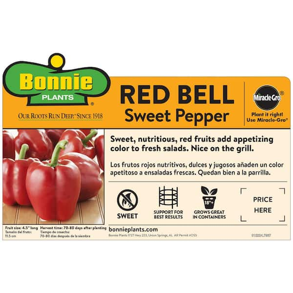 19 oz. Sweet Red Bell Pepper Vegetable Plant