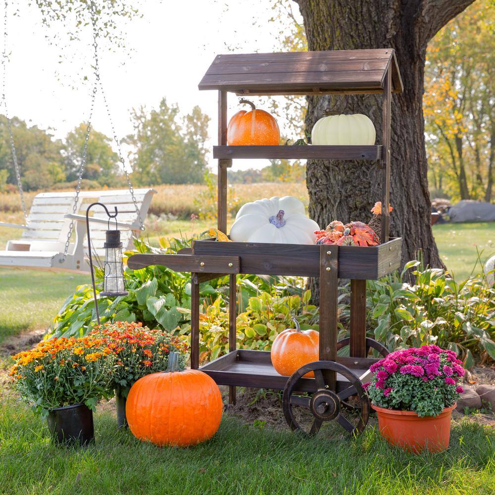 Charred Fir Wood 3-Tier Wheeled Flower Cart Display Stand