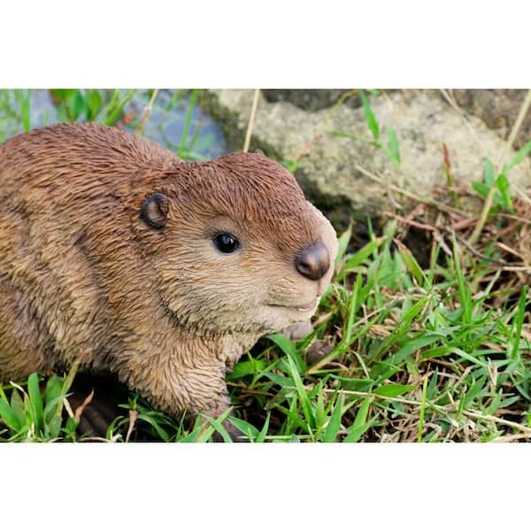 HI-LINE GIFT LTD. American Beaver Cub Garden Statue 87666-B - The