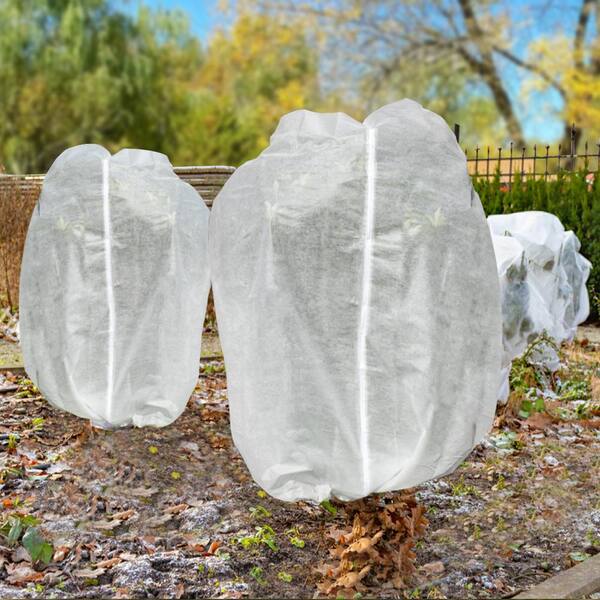 Agfabric 84 in. x 84 in. Shrub Jacket Rectangle Plant Cover with Zipper for  Season Extension and Frost Protection, 0.9 oz. W1E098484WCK - The Home Depot