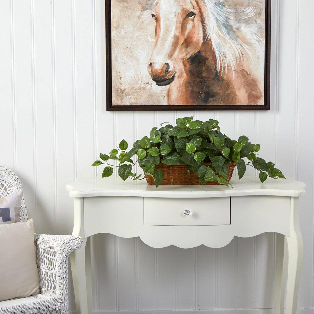 Lush Green Pothos 20.5" Tabletop Arrangement in Brown Basket