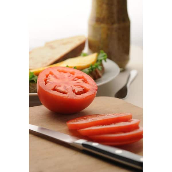Burpee Pint Tomato Plant Bushsteak-3 Pack 4804PF - The Home Depot