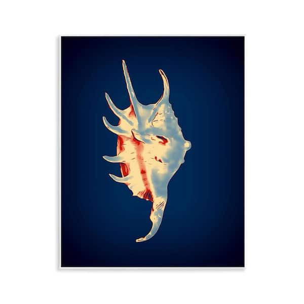 Stupell Industries Spider Conch on Blue by Graffi*tee Studios Unframed Coastal Graphic Art Print 14 in. x 11 in.