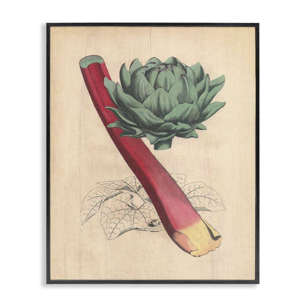 Vintage Vegetable Studies by Daphne Polselli Black Framed Food Giclee Art Print 30 in. x 24 in. price history on PriceWatchPro