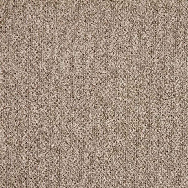 TrafficMaster Falhurst  - Coffee - Brown 24 oz. Polyester Pattern Installed Carpet