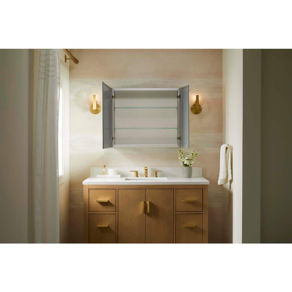 Embark 30" x 26" Anodized Aluminum Dual Swing Medicine Cabinet